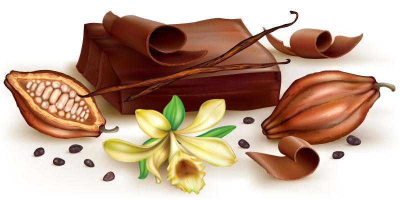 巧克力块与香草花矢量图