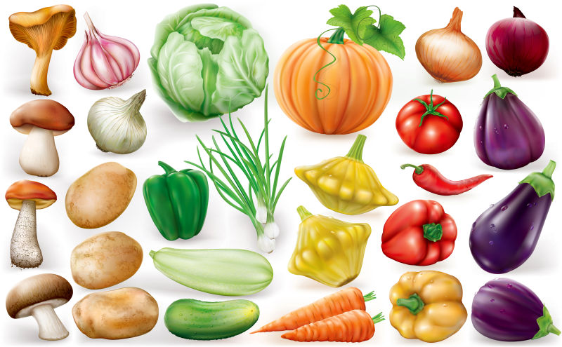 蔬菜茄子矢量图