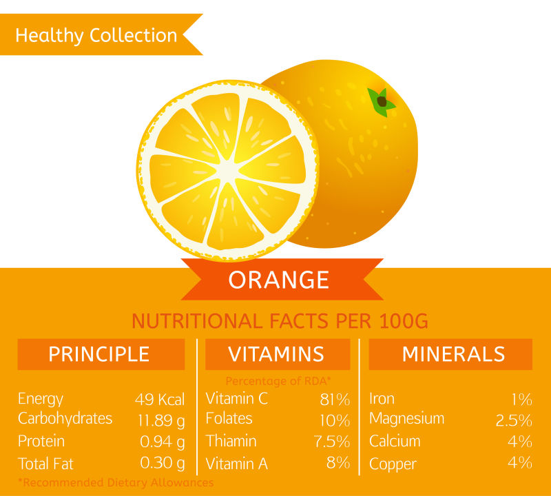 橙子营养元素矢量信息图