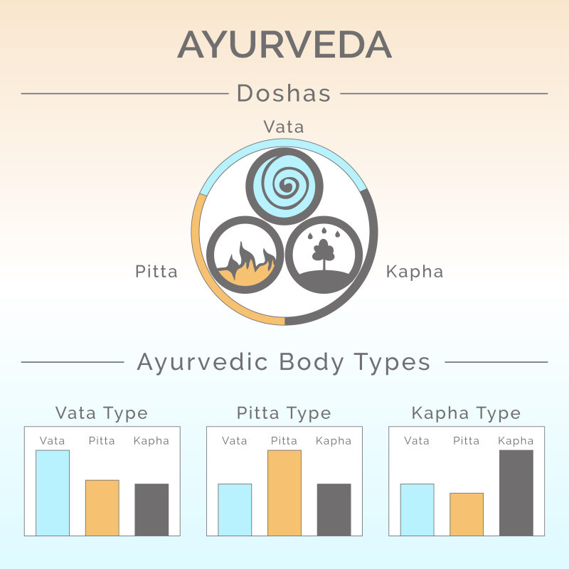 阿育吠陀身体类型信息图表矢量插图