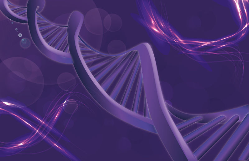 矢量的紫色DNA分子背景
