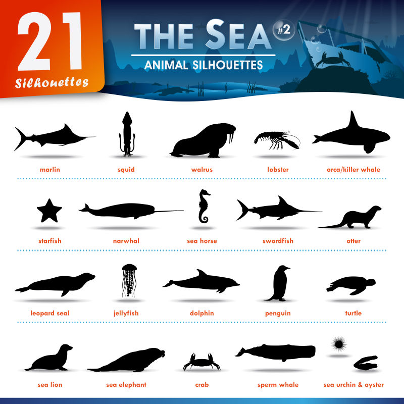 创意矢量海洋动物剪影设计