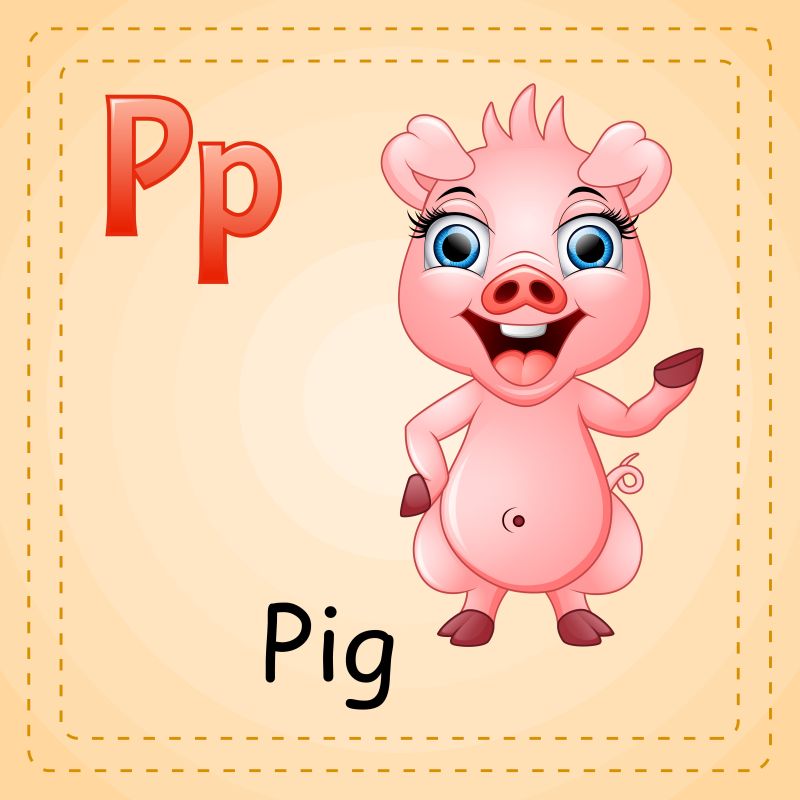 动物字母表P是猪矢量
