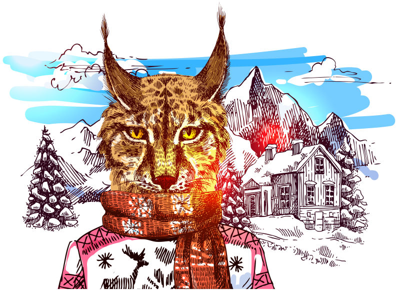 穿着针织毛衣的山猫手绘矢量插图