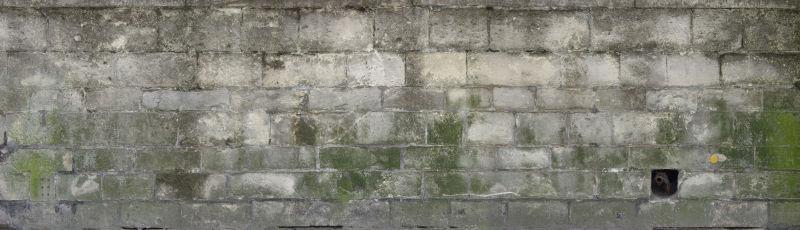 长了绿色苔藓的砖墙背景