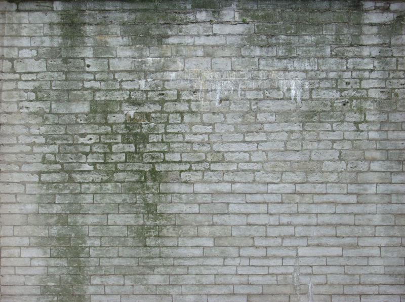 长了绿毛的白砖石墙背景
