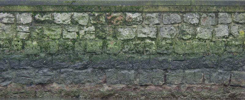 长满了绿毛的旧石墙背景
