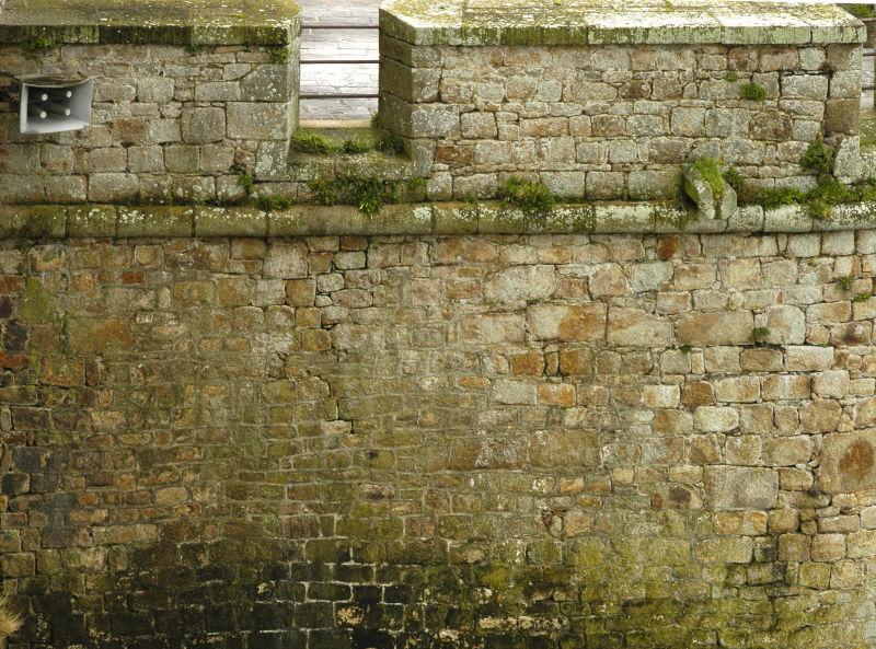 长满绿色苔藓的旧砖墙背景