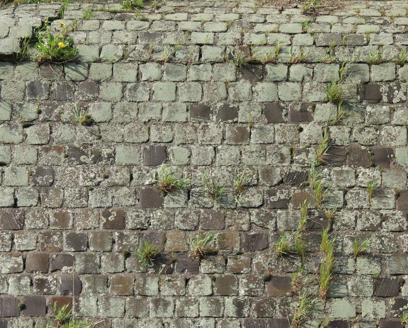 长了草的旧砖墙背景