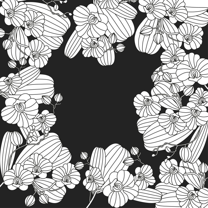 矢量手绘线条风格的兰花装饰插图