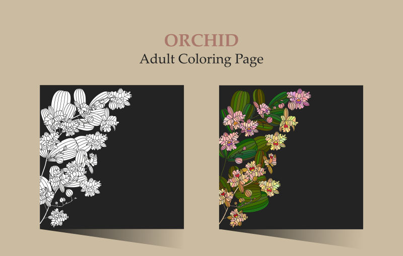 抽象矢量手绘装饰花卉元素的卡片设计