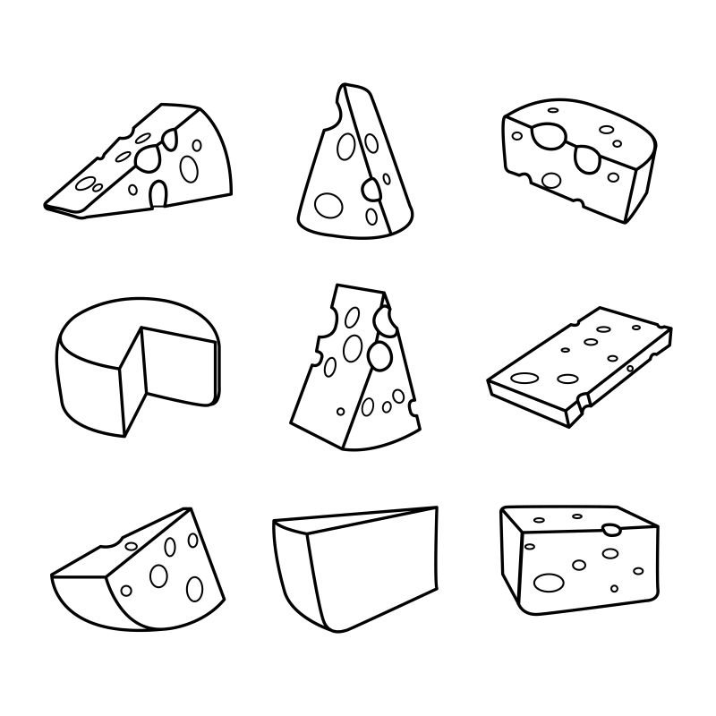 矢量奶酪的手绘插图