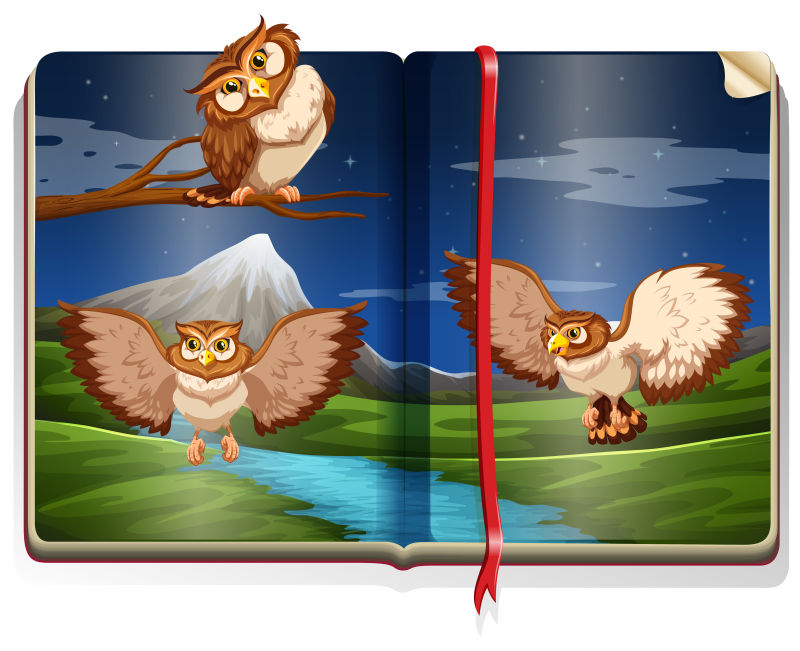 猫头鹰图案书籍矢量设计