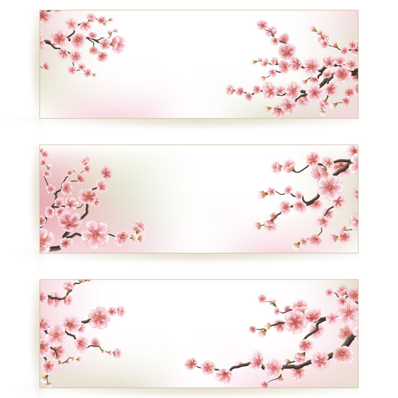 樱花横幅矢量插图