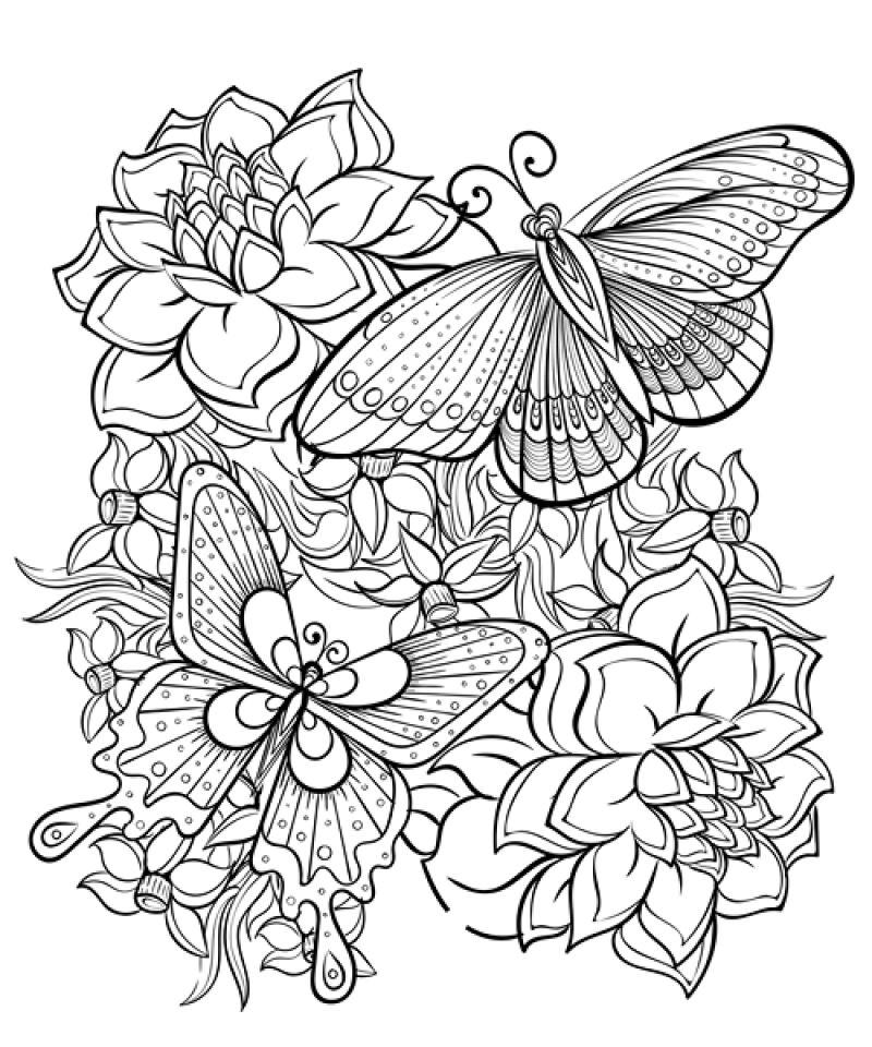 矢量手绘花丛中的蝴蝶