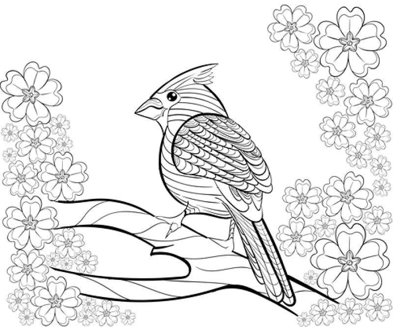 矢量手绘黑白枝头上的一只小鸟图案
