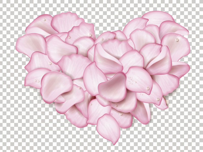 粉红色玫瑰花瓣插图矢量设计