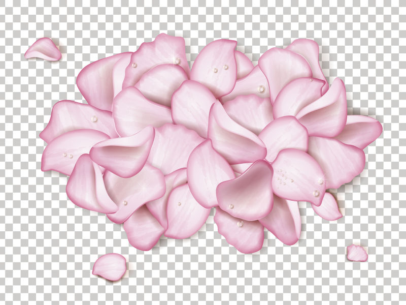粉色玫瑰花瓣矢量插图