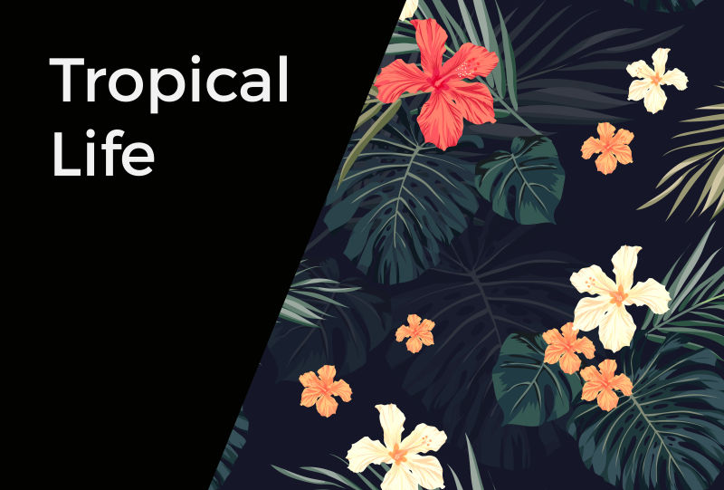 热带花卉植物图案矢量背景设计