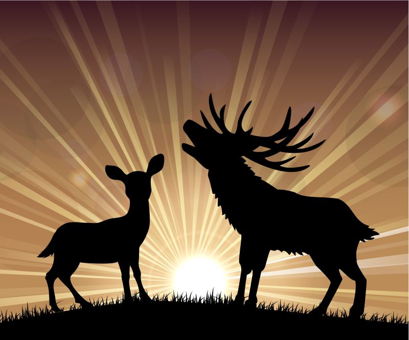 矢量梅花鹿和麋鹿的剪影插图