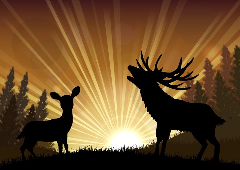 抽象矢量两只鹿的剪影插图