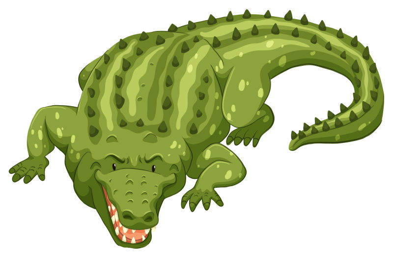 矢量的绿色鳄鱼