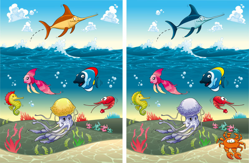 矢量海底生物差异对比图