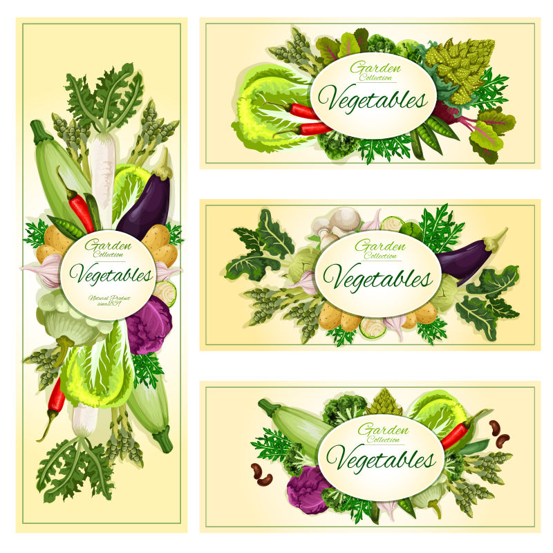 矢量的健康蔬菜食品插图