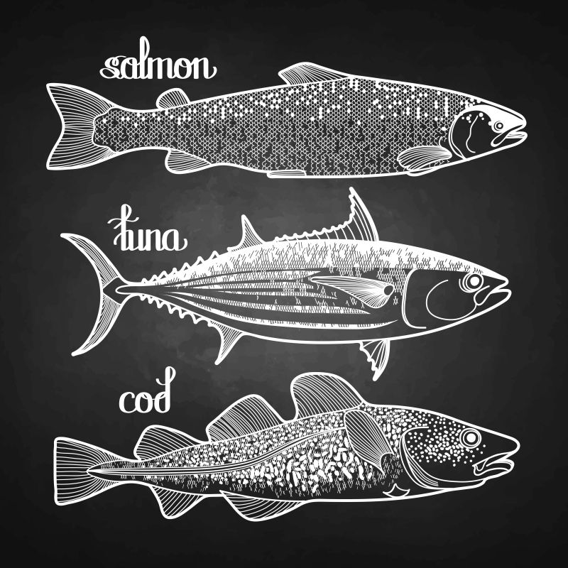 创意矢量现代海鲜鱼类设计插图