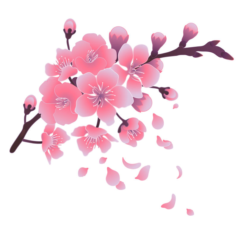 矢量粉色樱花设计元素插图