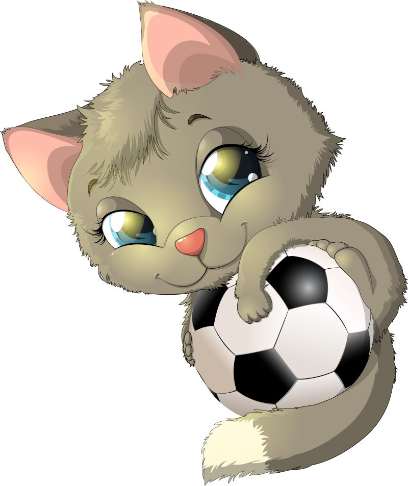 矢量抱着足球的猫咪