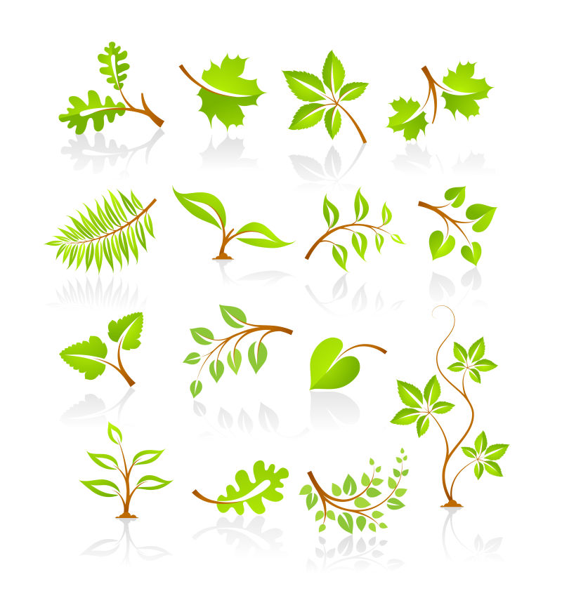 矢量的绿色植物插图