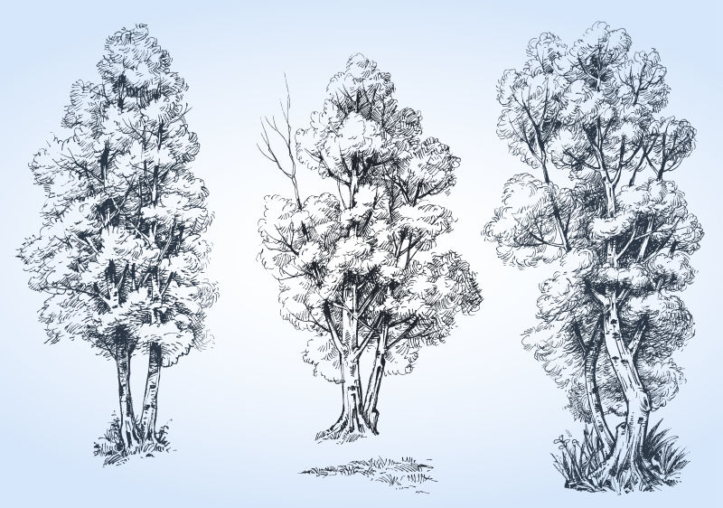 矢量创意手绘自然树木设计