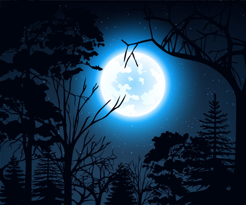 抽象矢量现代美丽的森林夜景插图
