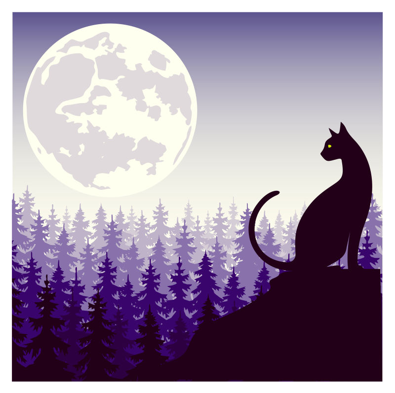 抽象矢量夜间森林山石上的猫咪插图