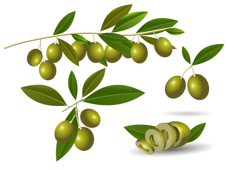 抽象矢量橄榄插图