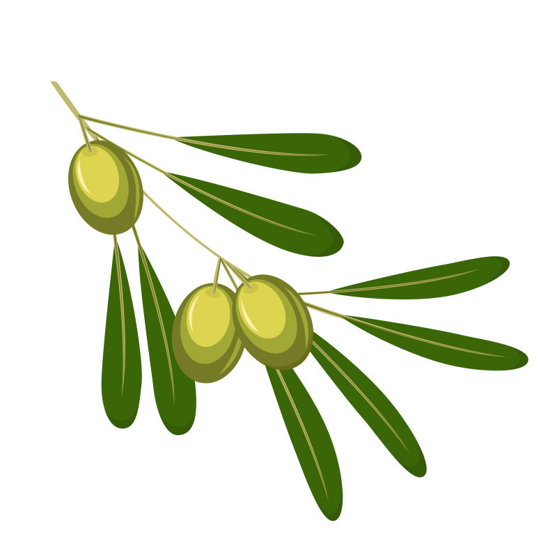 矢量扁平风格的橄榄插图