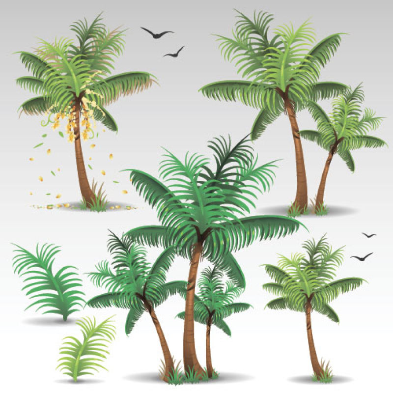 创意矢量绿色棕榈树插图