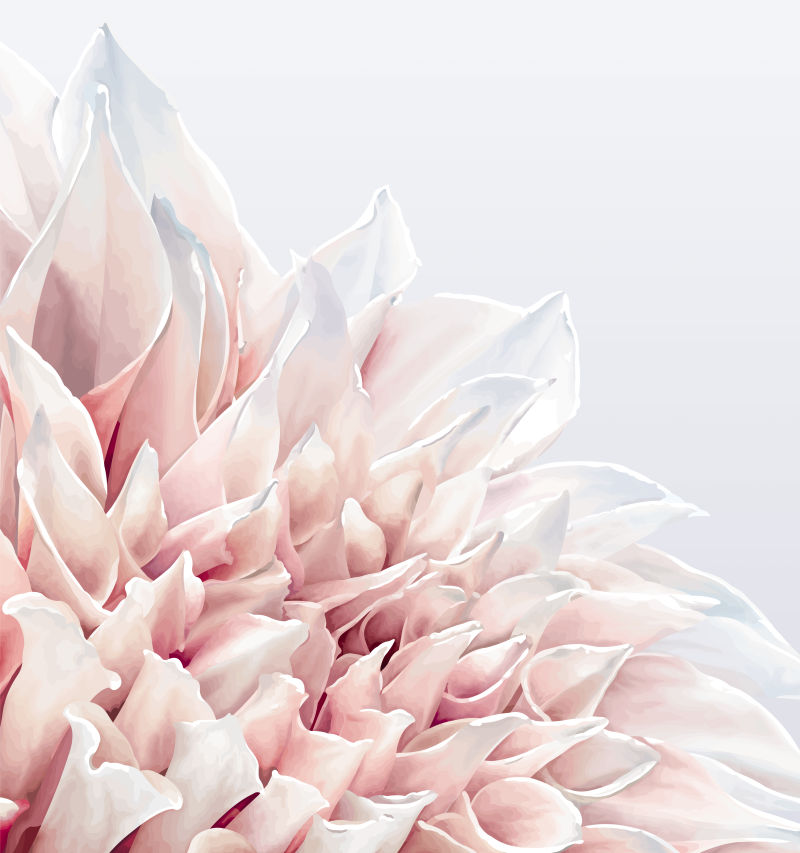 抽象矢量现代花卉元素的背景设计