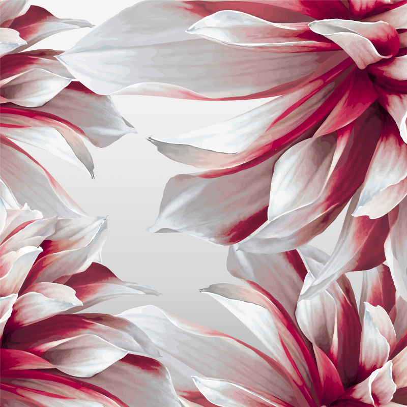 抽象矢量美丽花卉元素背景设计