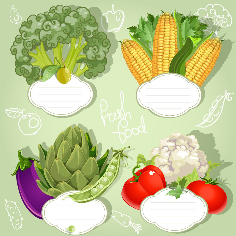 矢量的绿色蔬菜插图