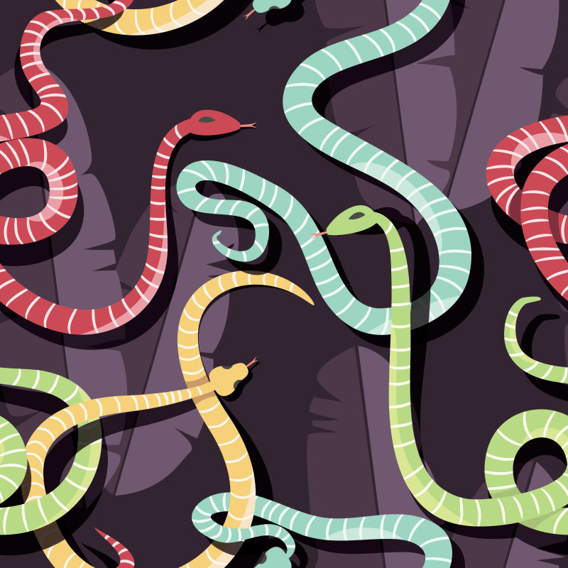 矢不同颜色的热带蛇背景
