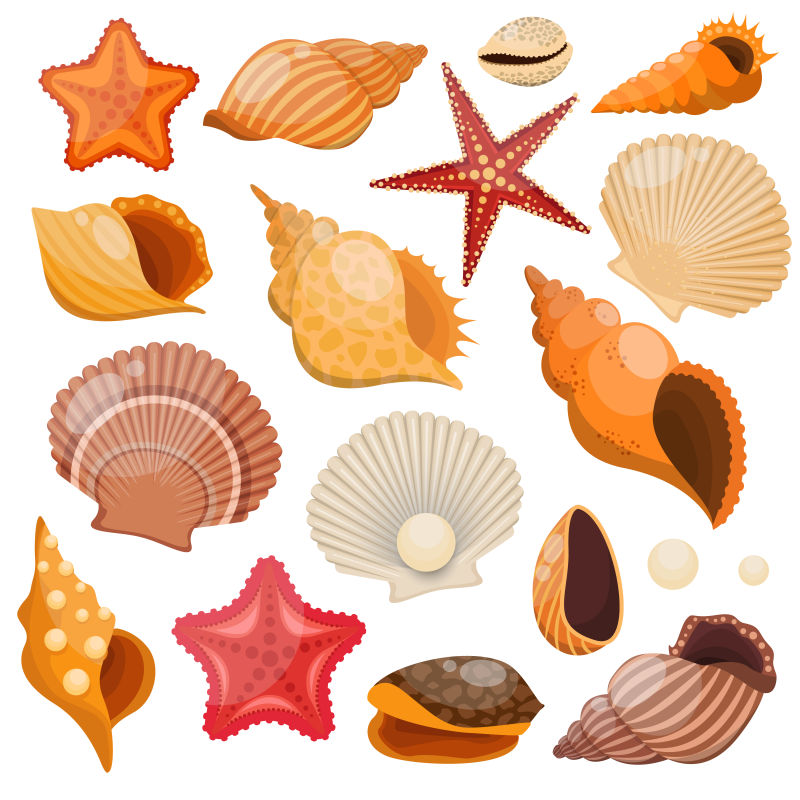 彩色图标集的贝壳和海星设计矢量