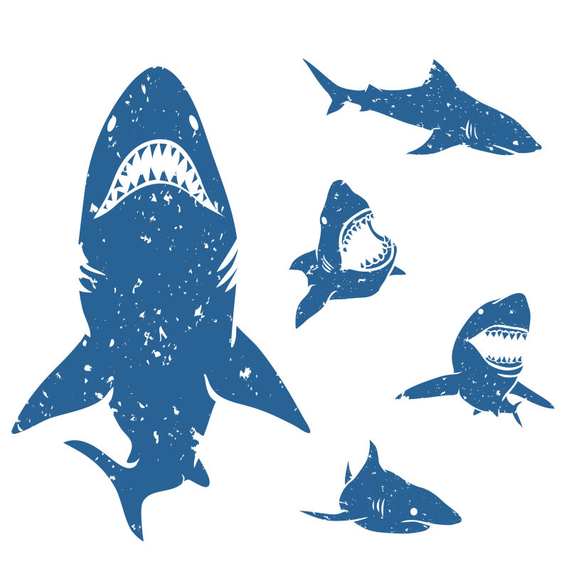 矢量的复古鲨鱼插图