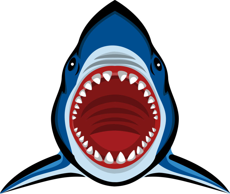 愤怒的大白鲨矢量插图