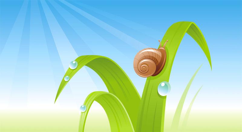 矢量春季绿叶蜗牛设计