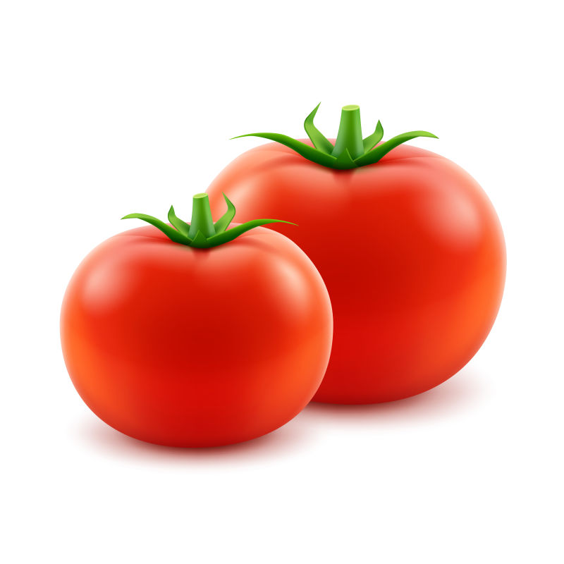 创意矢量新鲜红番茄插图