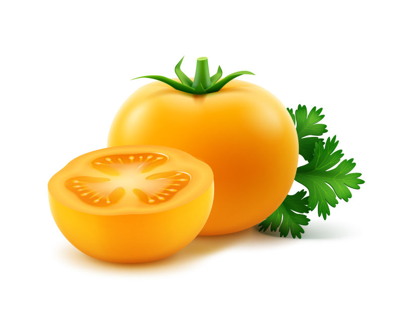 创意矢量黄番茄的平面插图