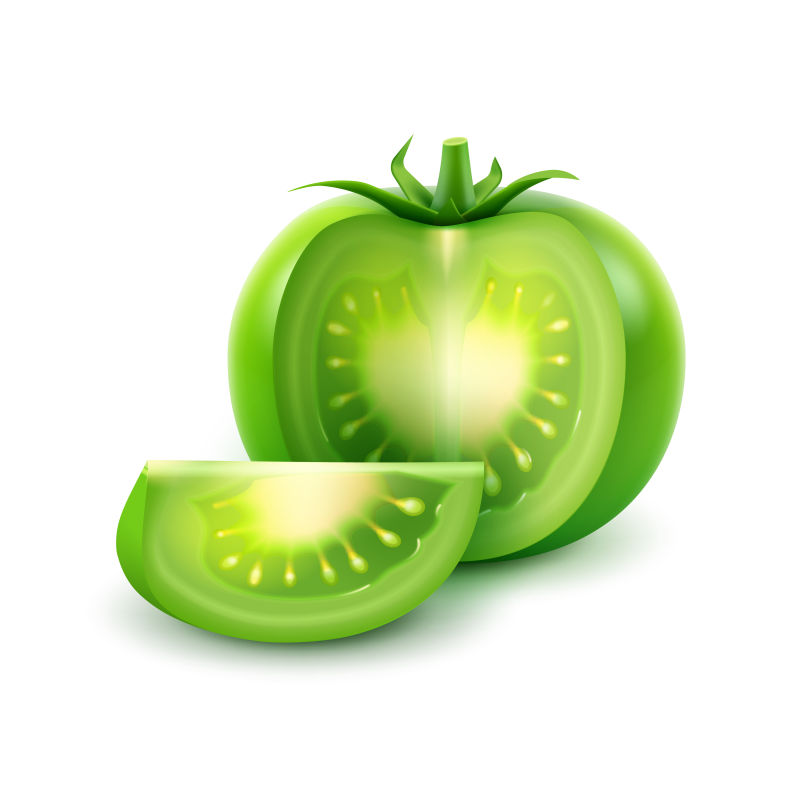 矢量新鲜绿番茄插图