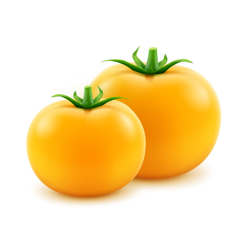 创意矢量新鲜黄色番茄插图